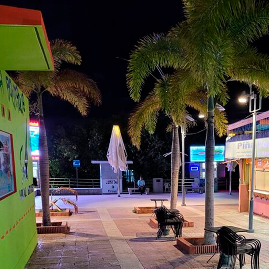 Coamo Hot Springs, Ponce Tour & Lajas Bioluminescent Boat Tour - Image 4