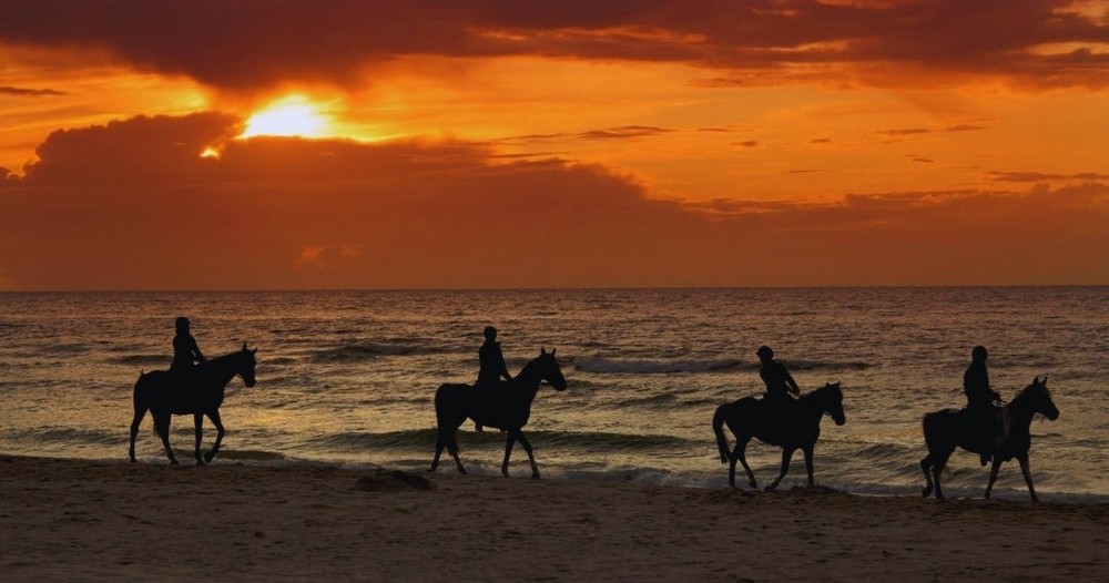 Sunset Horseback Ride At The Beach