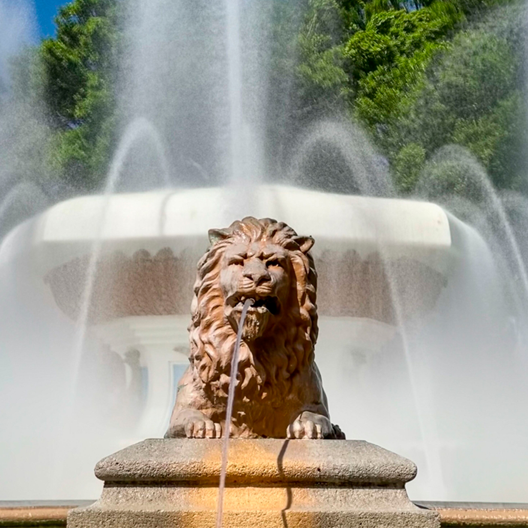 Coamo Hot Springs, Ponce Tour & Lajas Bioluminescent Boat Tour - Image 6